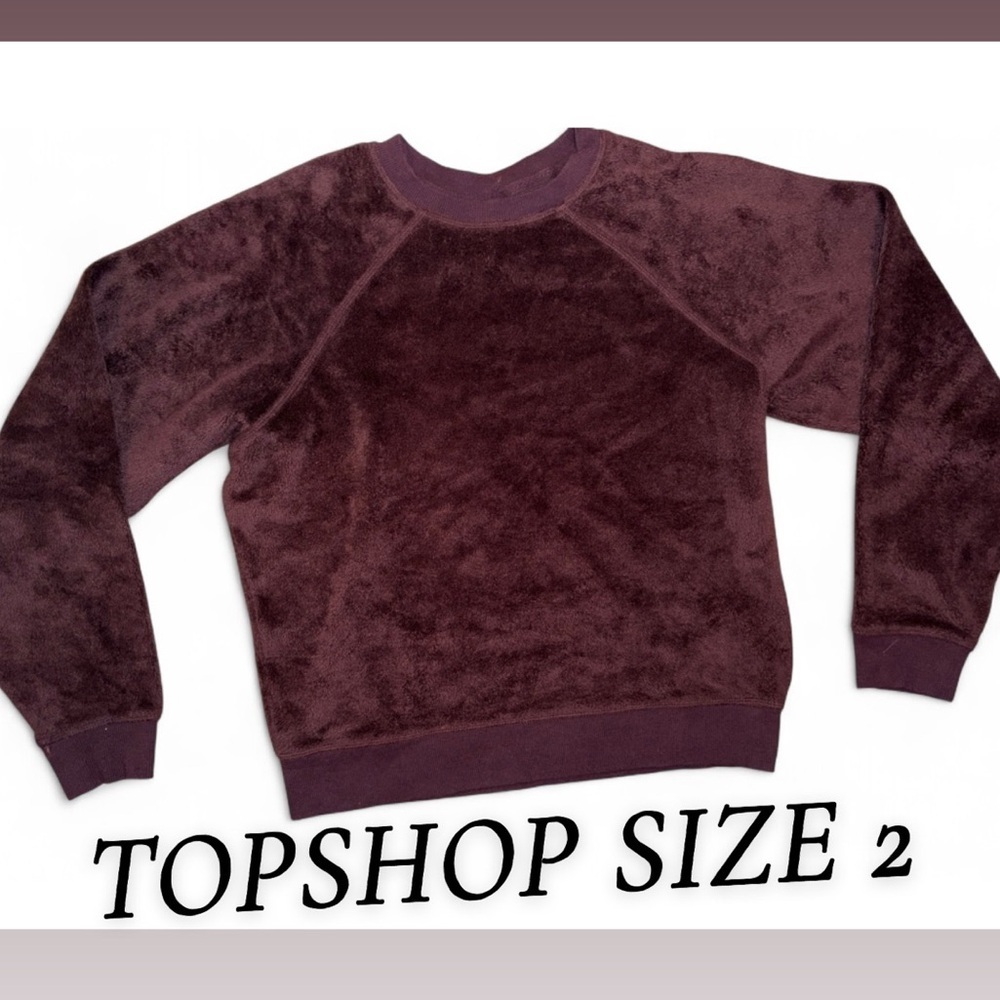 Topshop Burgundy Velour Crewneck Sweatshirt Size 2